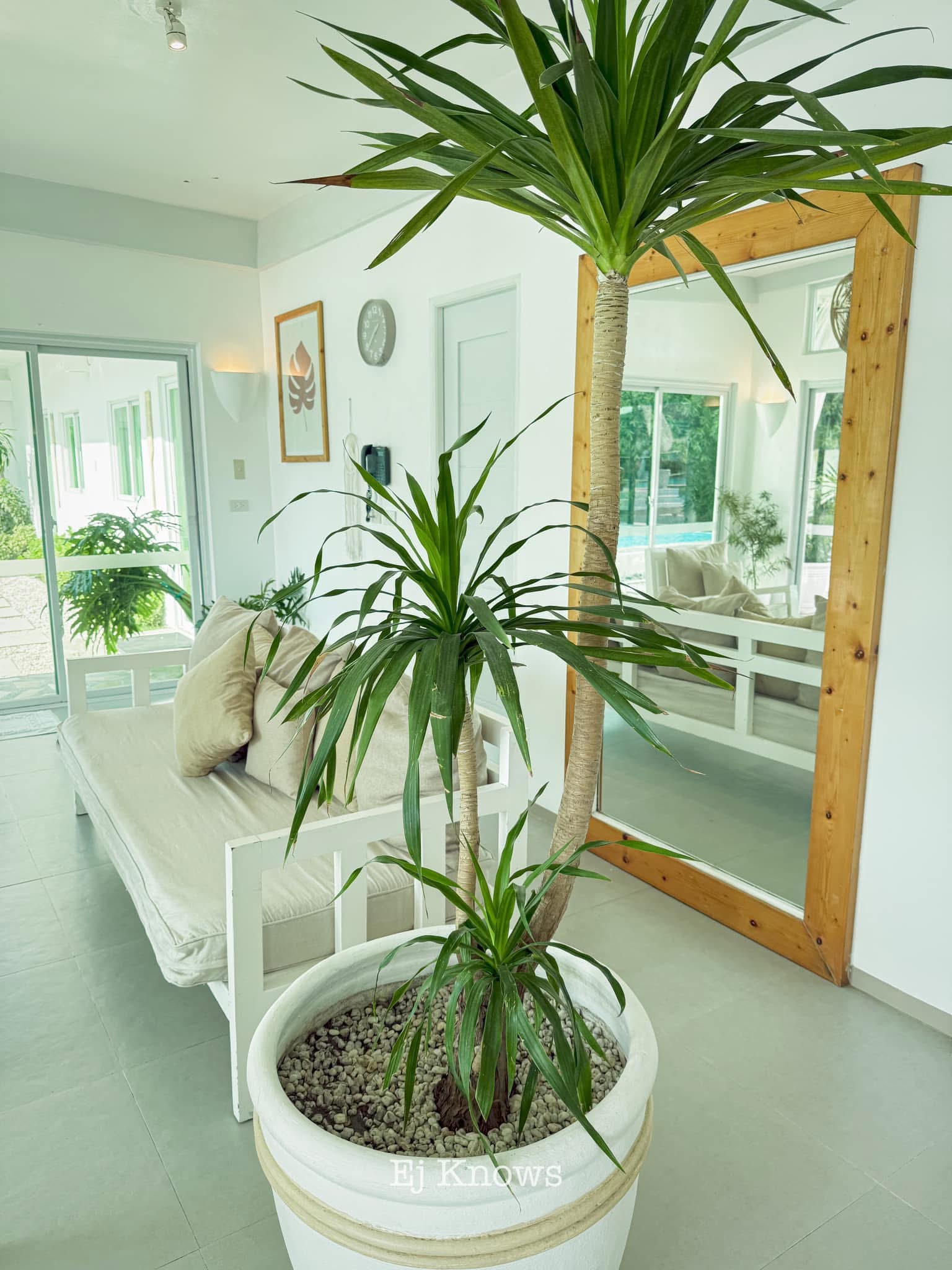 Seaview Cliff Villa